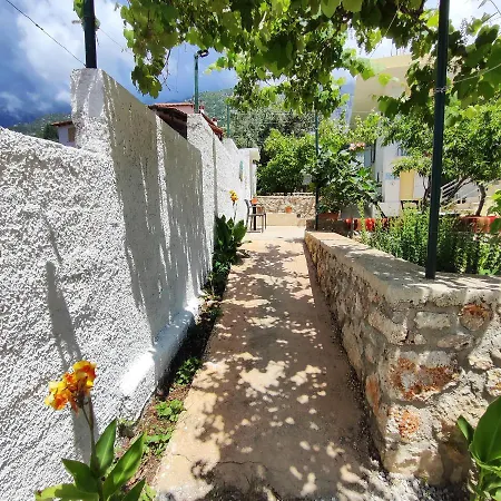 Siempre Viva Pensión 3*