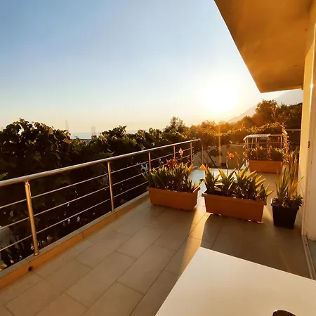 Siempre Viva Dhërmi