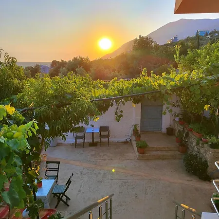 Siempre Viva ゲストハウス