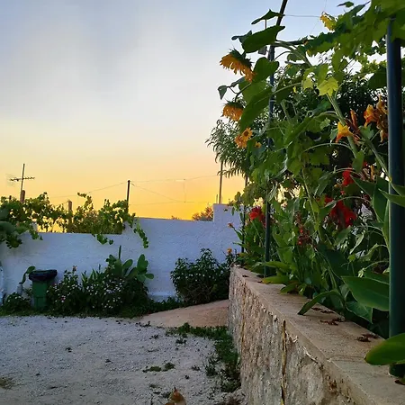 Siempre Viva ゲストハウス Dhërmi