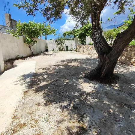 Siempre Viva Casa de hóspedes 3*