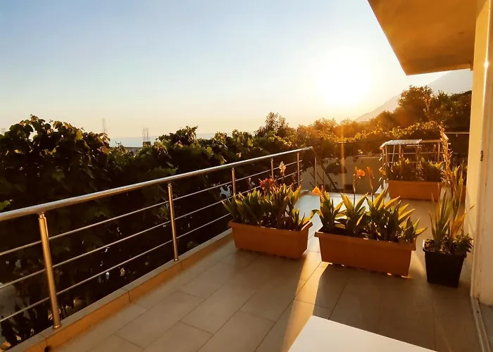 Siempre Viva Dhërmi